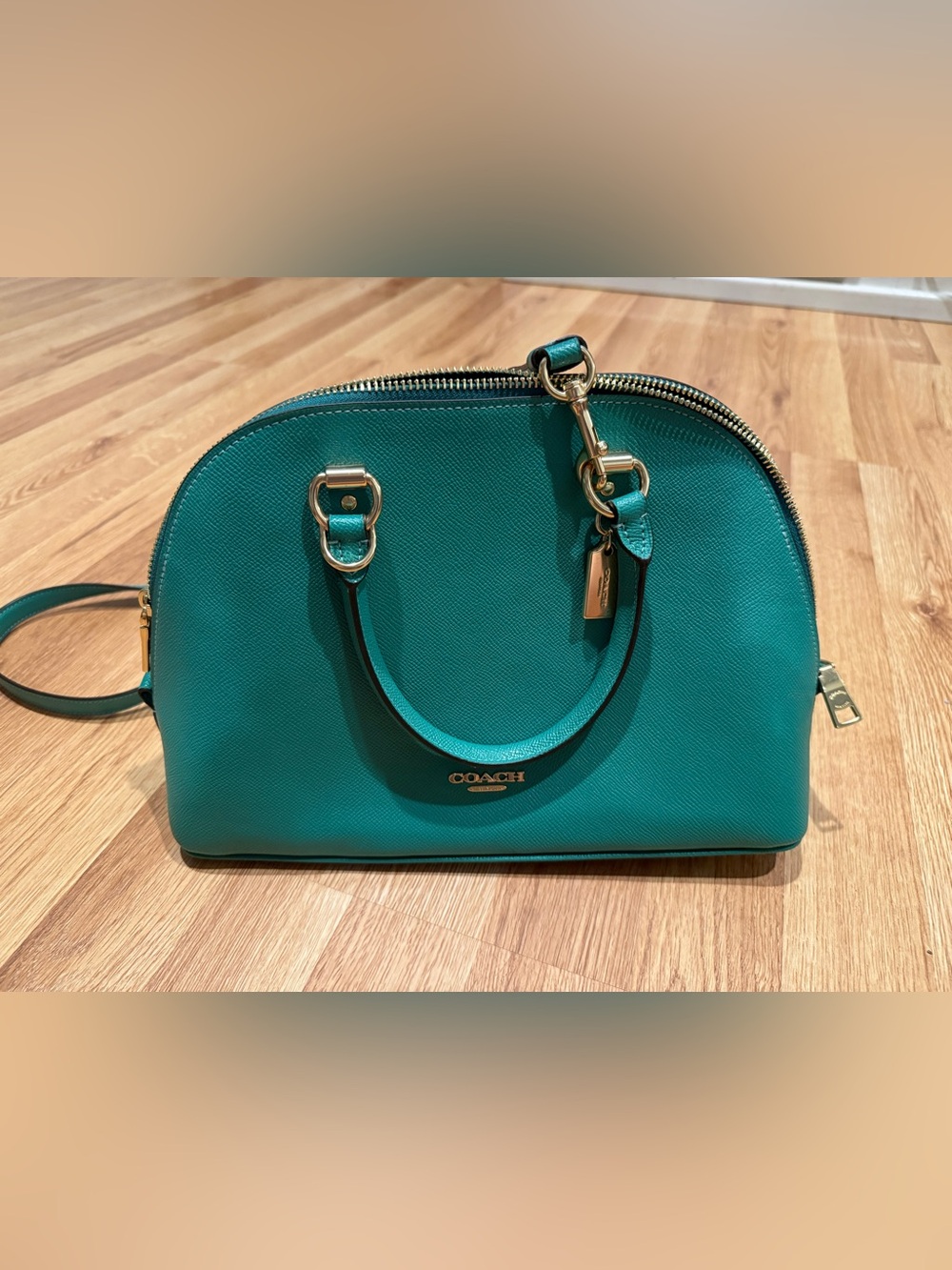 NWT Coach Green Satchel